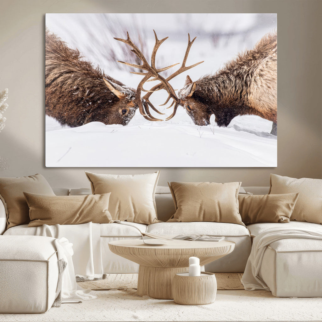 Dramatic Elk Antler Battle Wall Art Canvas Print, Snowy Wildlife Scene