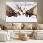 Dramatic Elk Antler Battle Wall Art Canvas Print, Snowy Wildlife Scene