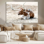 Majestic Longhorn Wall Art Canvas Print, Resting on Sunlit Desert Ground