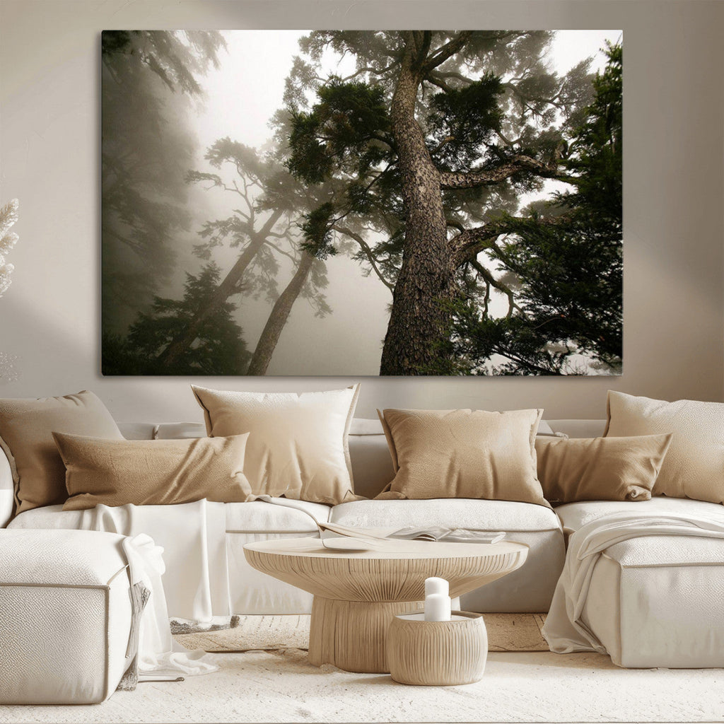 Misty Forest Wall Art Canvas Print, Framed Tall Trees in Foggy Atmosphere