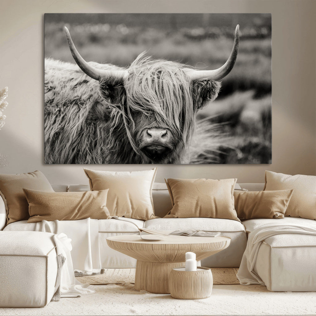 Cow Focus Canvas Wall Art Print
