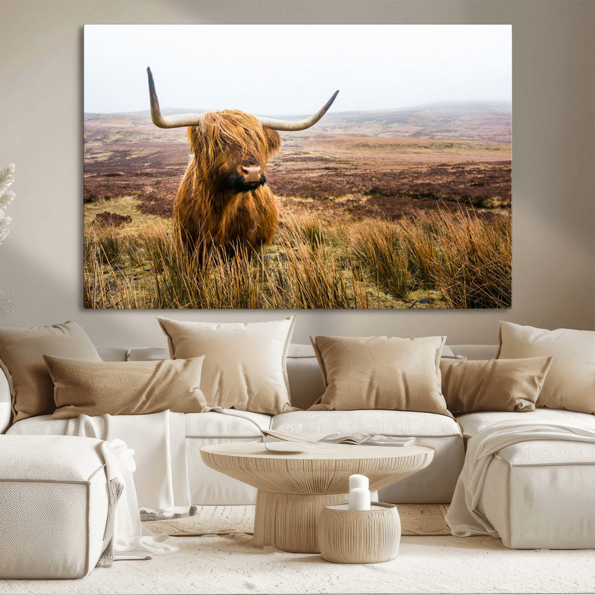 Scottish Highland Cow Canvas Wall Art, Rustic Farmhouse Decor