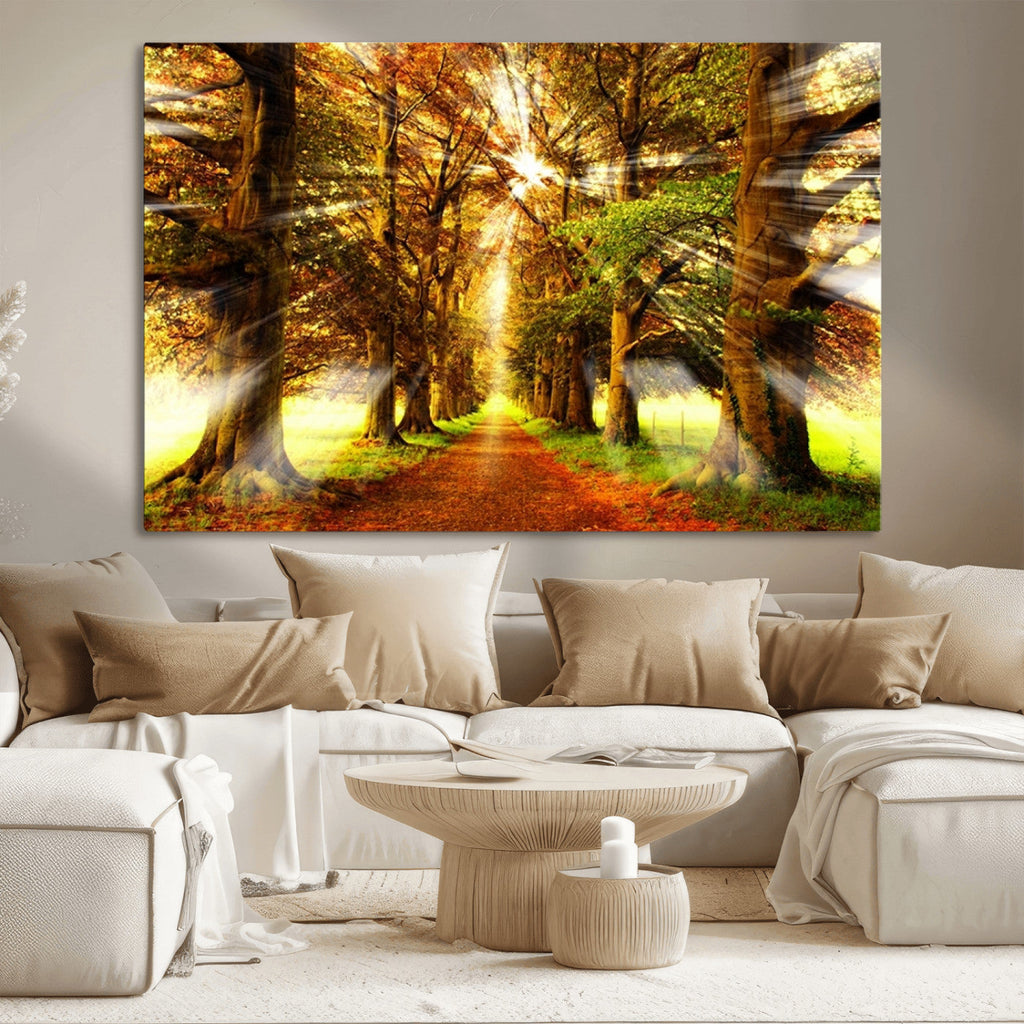 Sunshine in Forest and Trees Wall Art Canvas Print