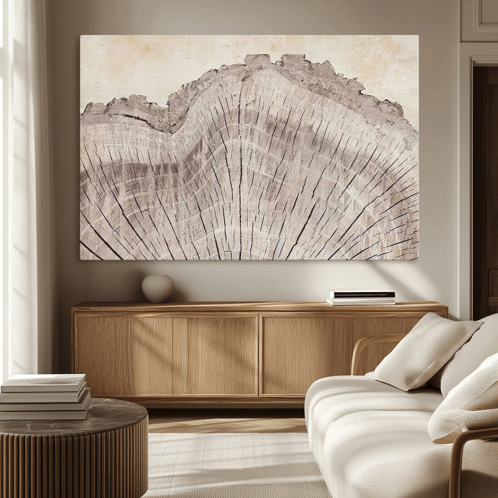 Tree Ring Wall Art Triptych, Rustic Wood Ring Canvas Print