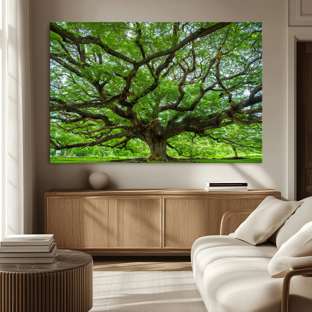 Ancient Tree Wall Art Canvas Print, Framed Sprawling Branches