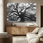 Ancient Oak Wall Art Canvas Print | Gnarled Tree with Twisted Branches