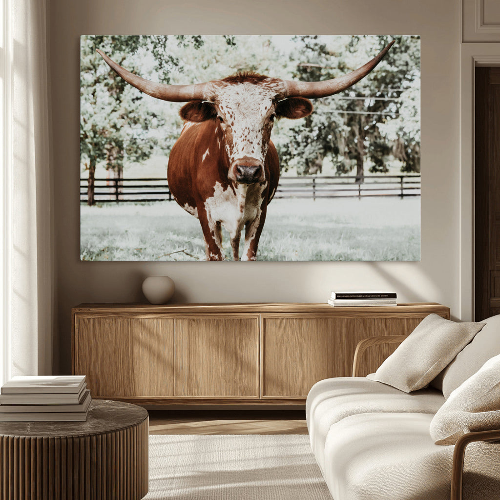 Texas Longhorn Wall Art Canvas Print | Framed Spotted Brown and White Bull