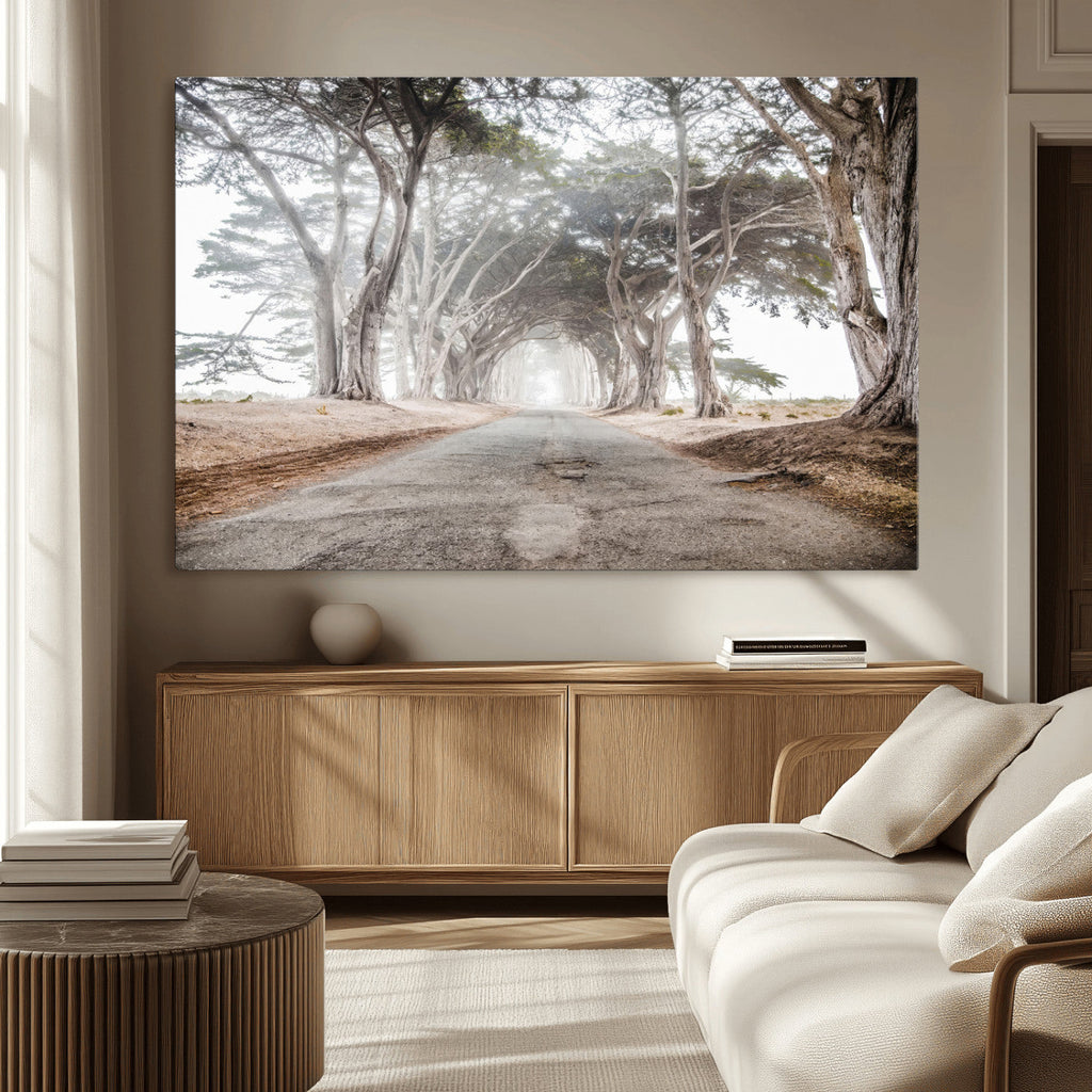 Cypress Tunnel Wall Art | Framed Misty Road Canvas Artwork