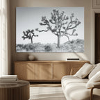 Joshua Tree Wall Art Canvas Print, Framed Black and White Desert Landscape Artwork