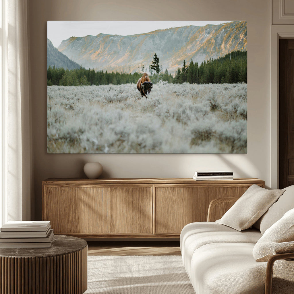 Wild Bison Wall Art Canvas Print, Majestic Mountain Pines and Misty Wilderness