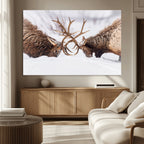 Dramatic Elk Antler Battle Wall Art Canvas Print, Snowy Wildlife Scene