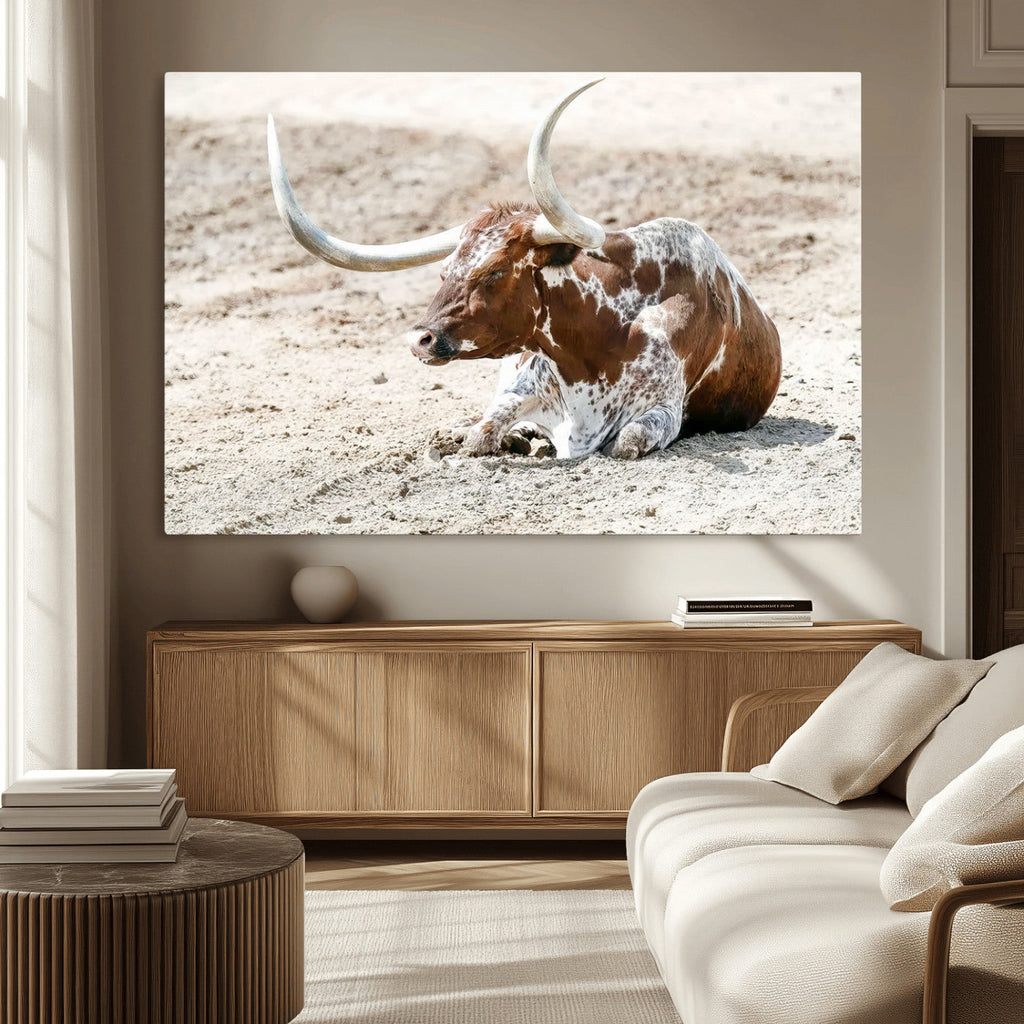 Majestic Longhorn Wall Art Canvas Print, Resting on Sunlit Desert Ground