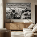 Cow Focus Canvas Wall Art Print