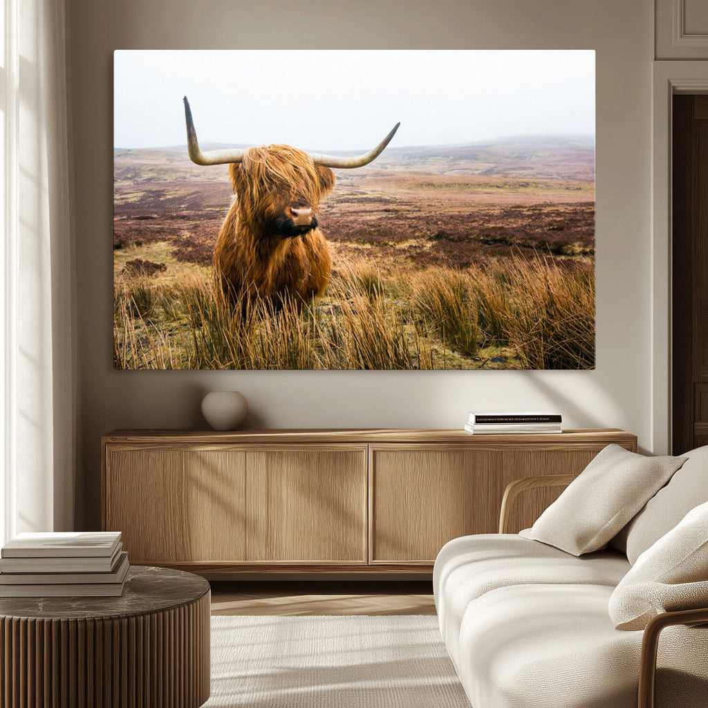 Scottish Highland Cow Canvas Wall Art, Rustic Farmhouse Decor