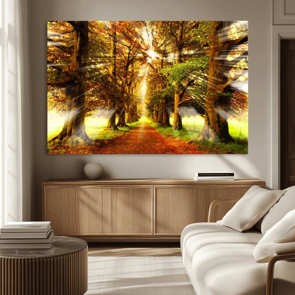 Sunshine in Forest and Trees Wall Art Canvas Print