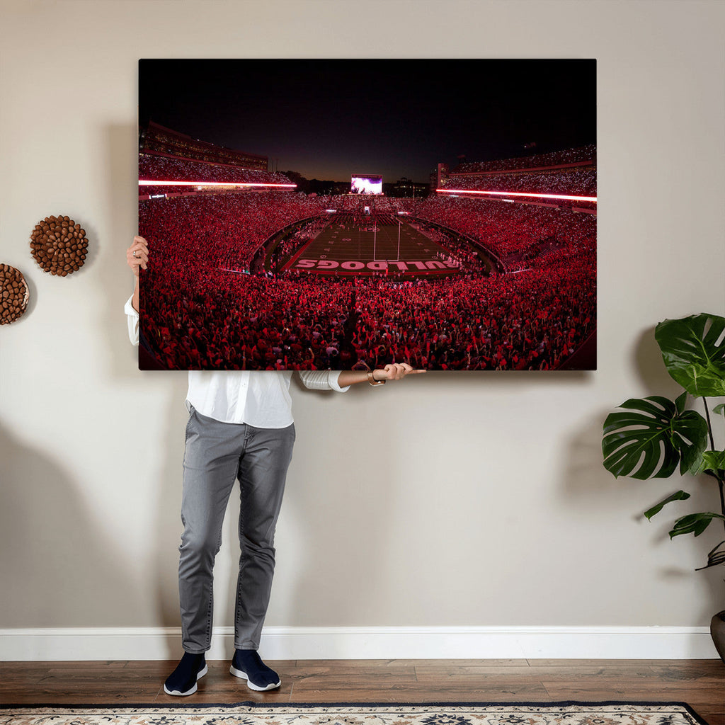 Dooley Stadium Wall Art, Sports Arena Canvas Print, Dooley Field Sanford Stadium