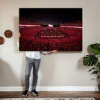 Dooley Stadium Wall Art, Sports Arena Canvas Print, Dooley Field Sanford Stadium
