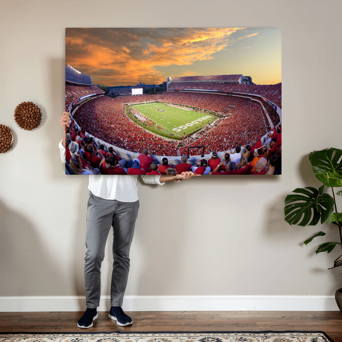 Dooley Stadium Wall Art, Sports Arena Canvas Print, Dooley Field, Framed and Ready to Hang