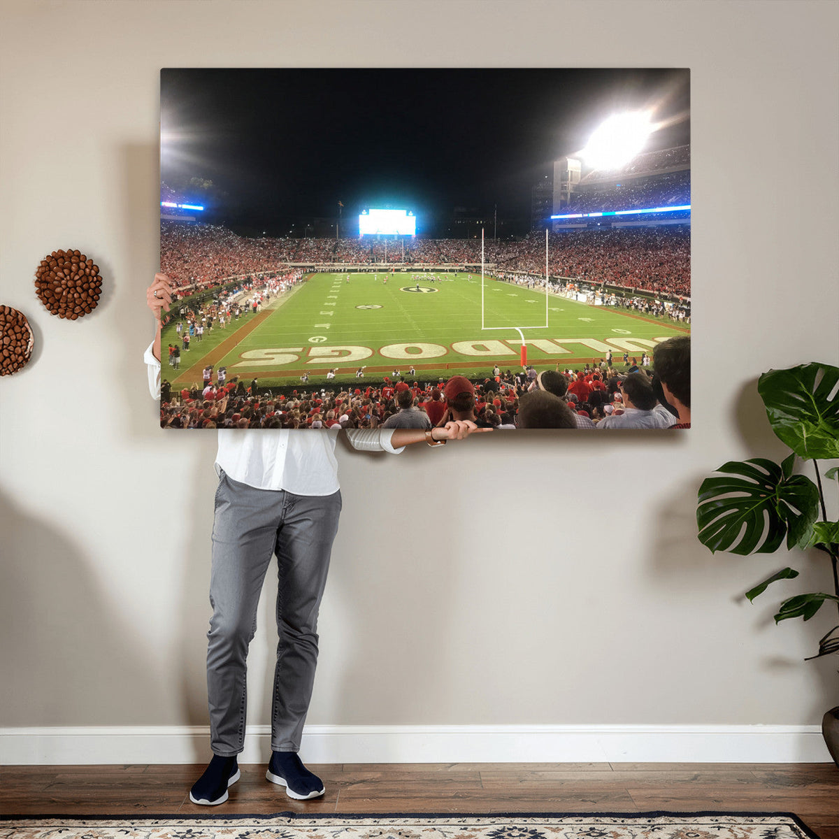 Dooley Stadium Wall Art, Sports Arena Panoramic Canvas