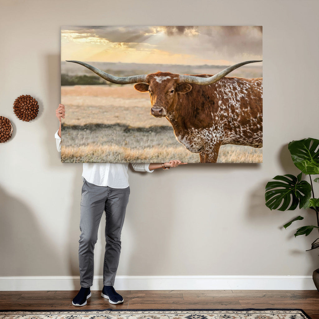 Texas Longhorn Wall Art Canvas Print, Western Ranch Bull Photography