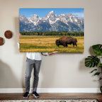 Bison in Mountain Landscape Wall Art Canvas Print, Western Decor