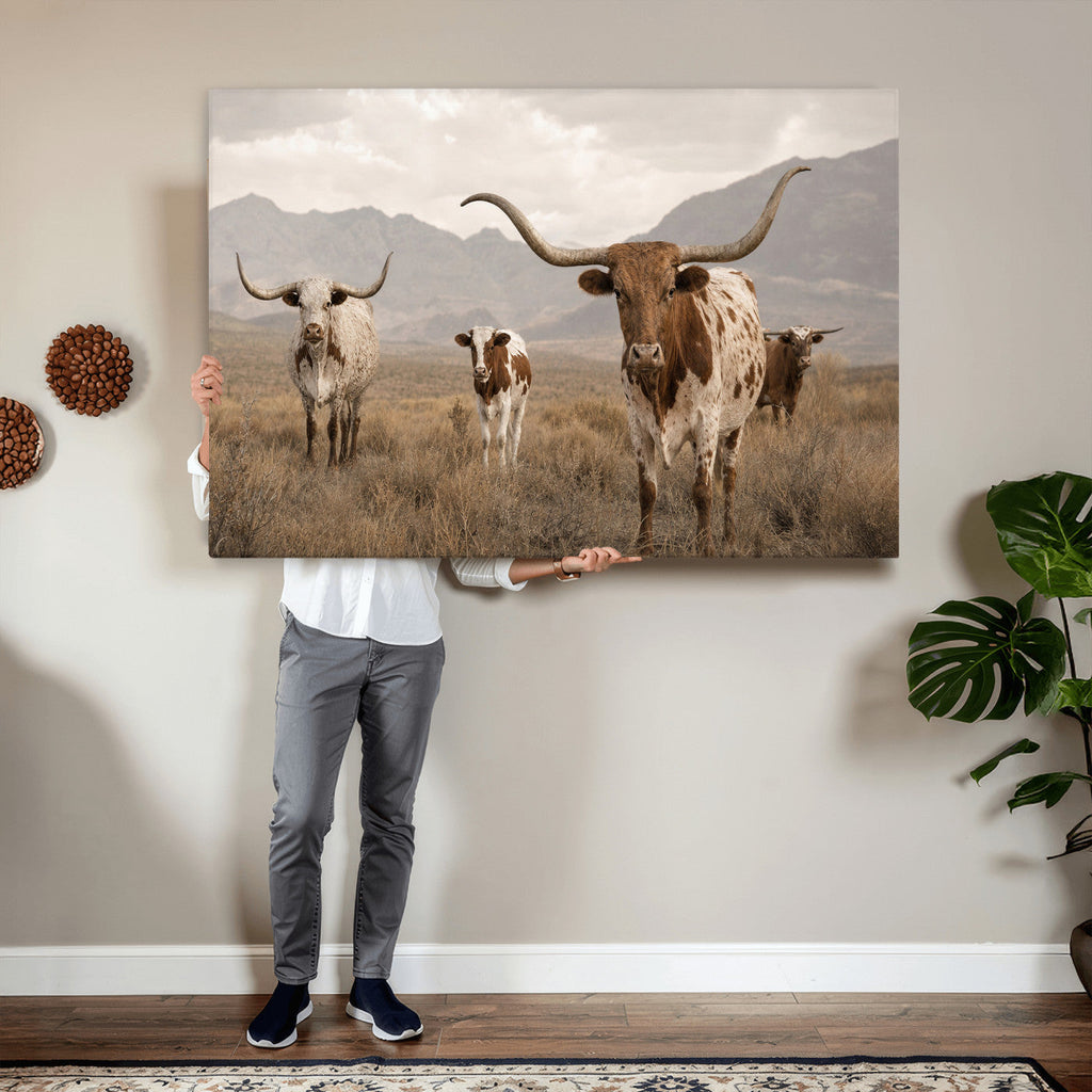 Rustic Texas Longhorn Cow Canvas Wall Art Print, Farm Animal Photography