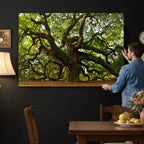 Angel Oak Tree Wall Art Canvas Print | Forest Tree Nature Photography Print