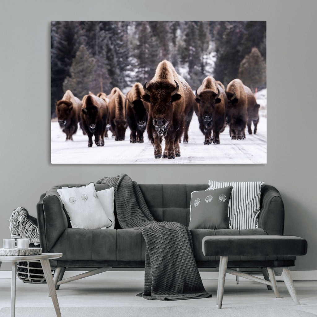 Bison Wall Art Canvas Print, Bison Herd Canvas Wall Art