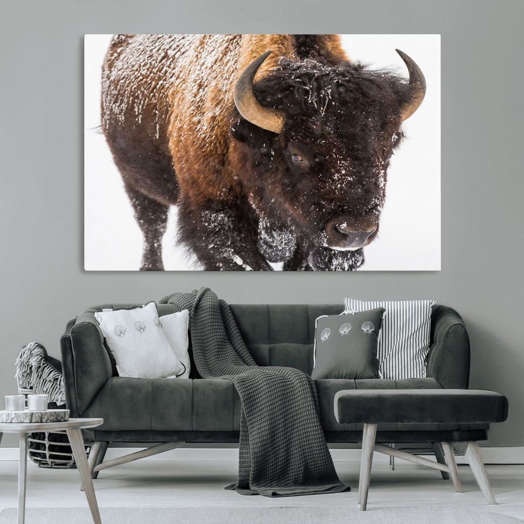 Bison Wall Art Canvas Print For Farmhouse, Wild Animal Wall Art