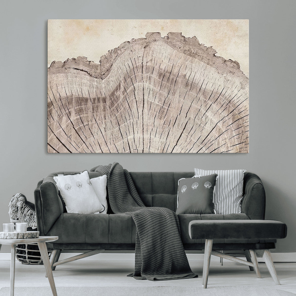Tree Ring Wall Art Triptych, Rustic Wood Ring Canvas Print