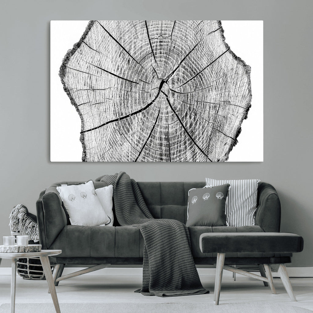 Rustic Tree Ring Wall Art Canvas Print, Framed and Ready to Hang