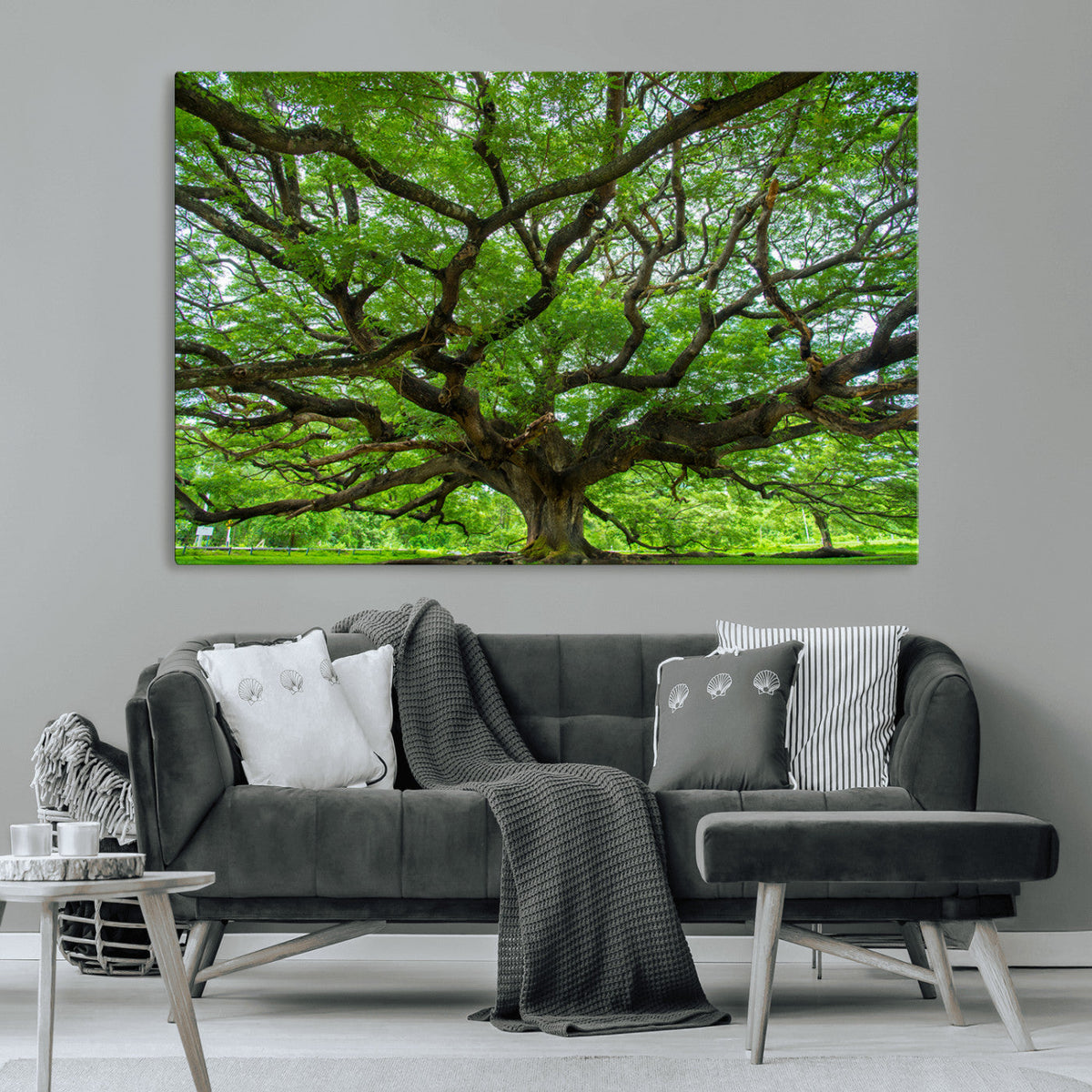 Ancient Tree Wall Art Canvas Print, Framed Sprawling Branches