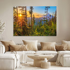 Forest Sunset Wall Art Canvas Print | Green Pines in Golden Light