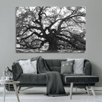 Ancient Oak Wall Art Canvas Print | Gnarled Tree with Twisted Branches