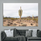 Saguaro Cactus Wall Art | Framed Desert Canvas Artwork