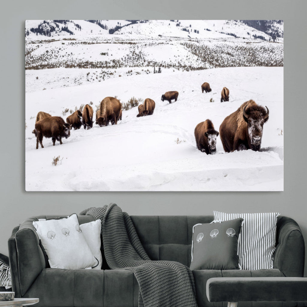 Bison Herd Wall Art Canvas Print, Framed Western Wildlife Decor, Snowy Mountain Valley