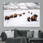 Bison Herd Wall Art Canvas Print, Framed Western Wildlife Decor, Snowy Mountain Valley