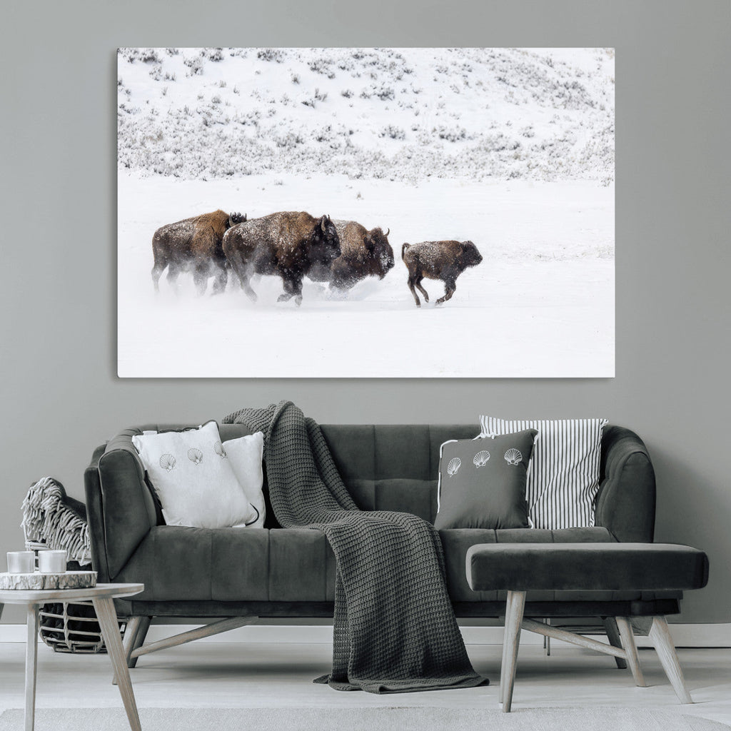 Bison Herd Wall Art Canvas Print, Framed Snowy Bison Scene, Winter Wildlife Decor