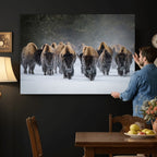 Bison Herd Wall Art Canvas Print, Framed Rustic Wildlife Decor, Snowy Bison Landscape