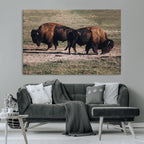 Bison Wall Art Canvas Print, Framed Western Wildlife Modern Ranch