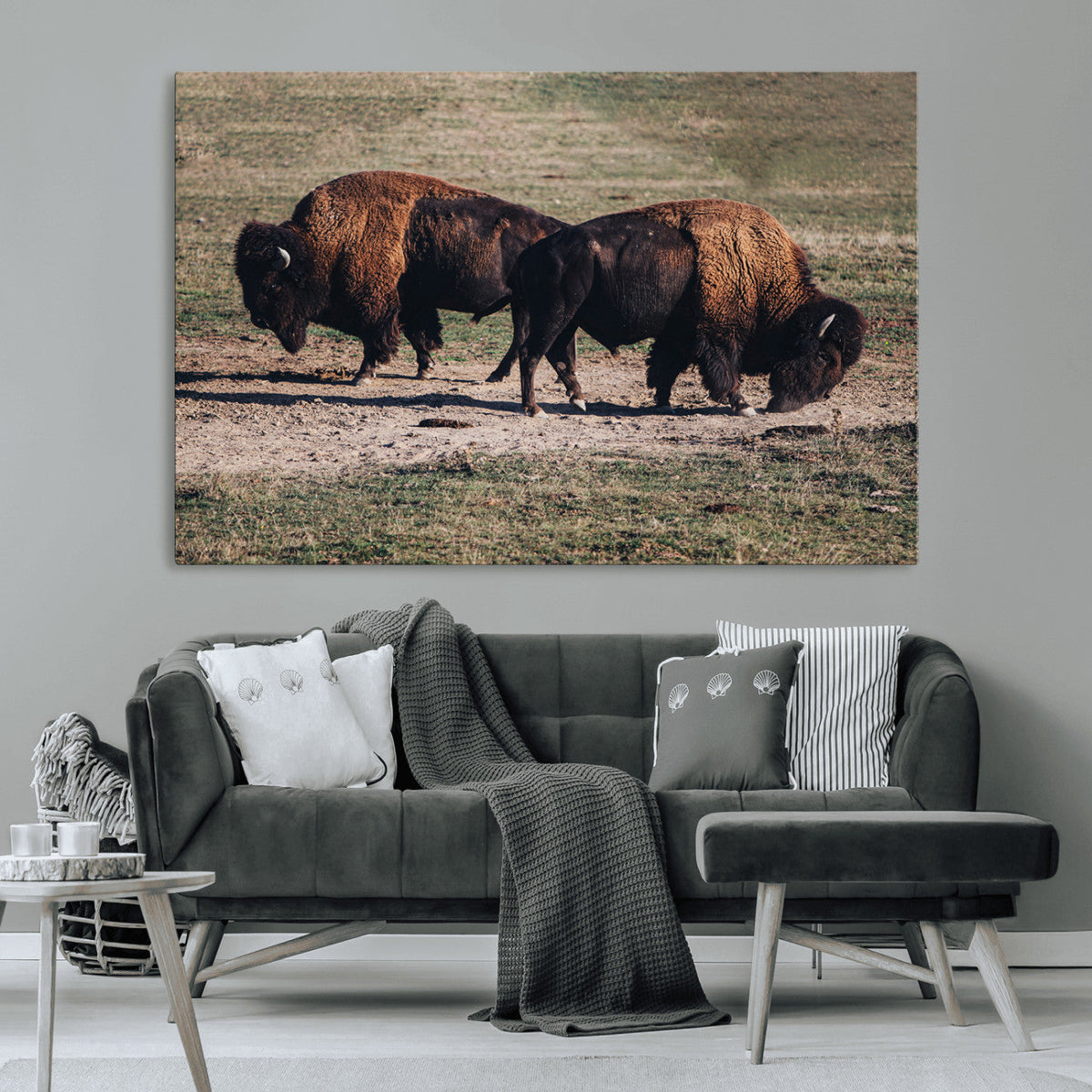 Bison Wall Art Canvas Print, Framed Western Wildlife Modern Ranch