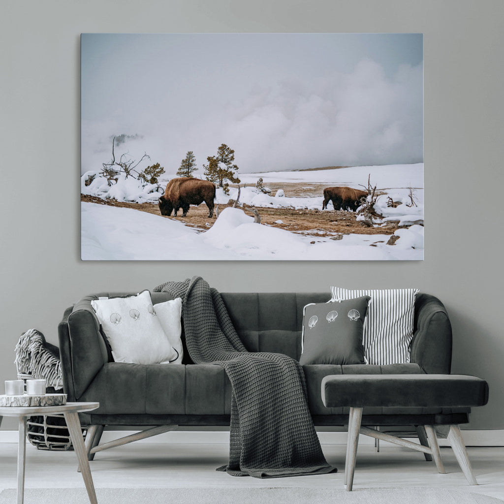 Bison Wildlife Wall Art Canvas Print, Framed Snowy Prairie Art, Western Landscape Decor