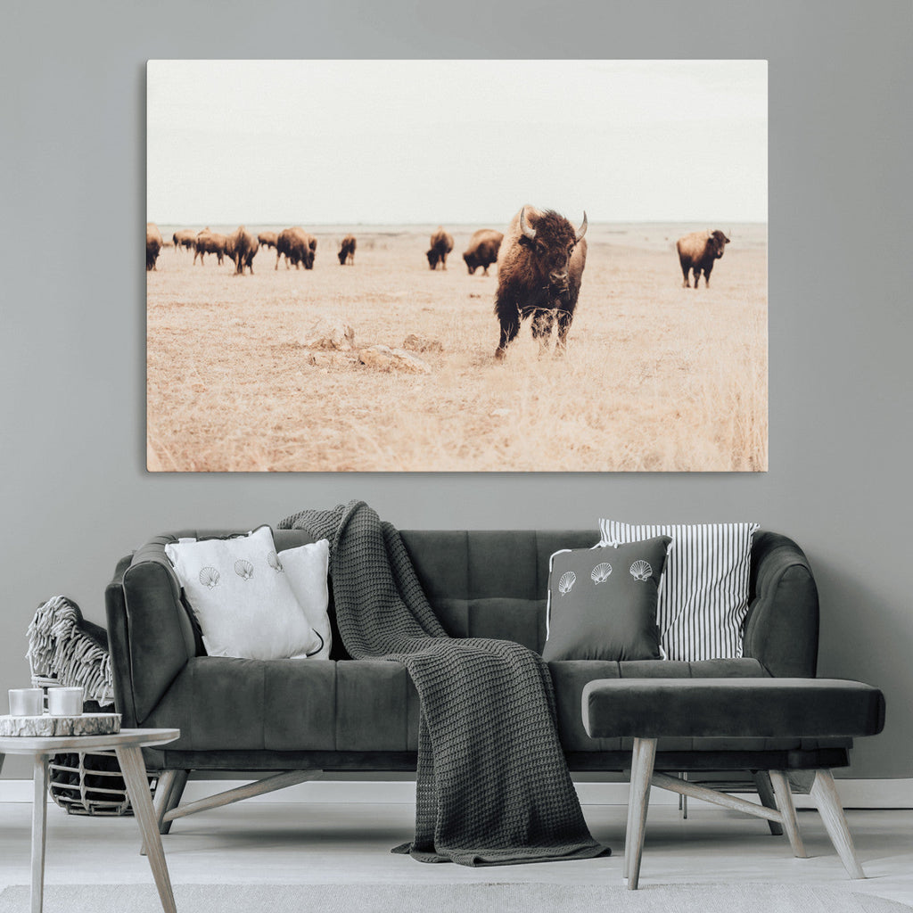 Bison Herd Wall Art Canvas Print, Framed Western Prairie Serenity