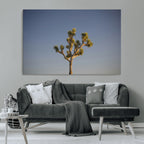 Joshua Tree Wall Art Canvas Print, Framed Southwestern Desert Landscape