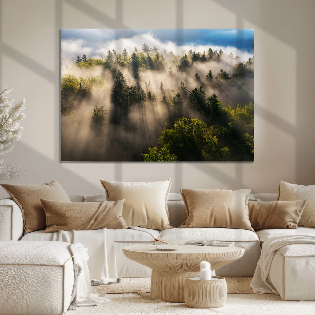 Tranquil Forest Scene Wall Art Canvas Print, Framed Moody Sunbeam Through Trees