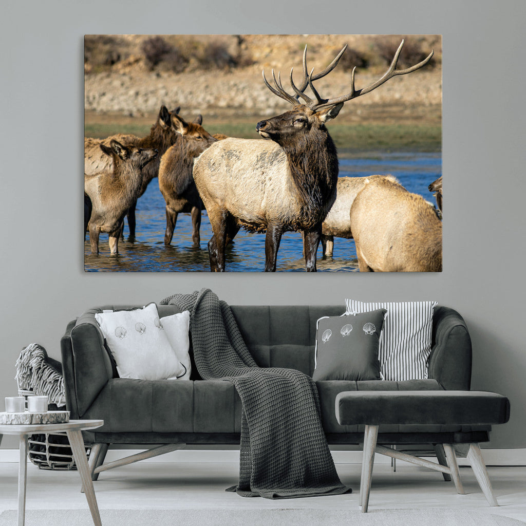 Wild Elk Wall Art Canvas Print, Framed Neutral Wildlife Scene