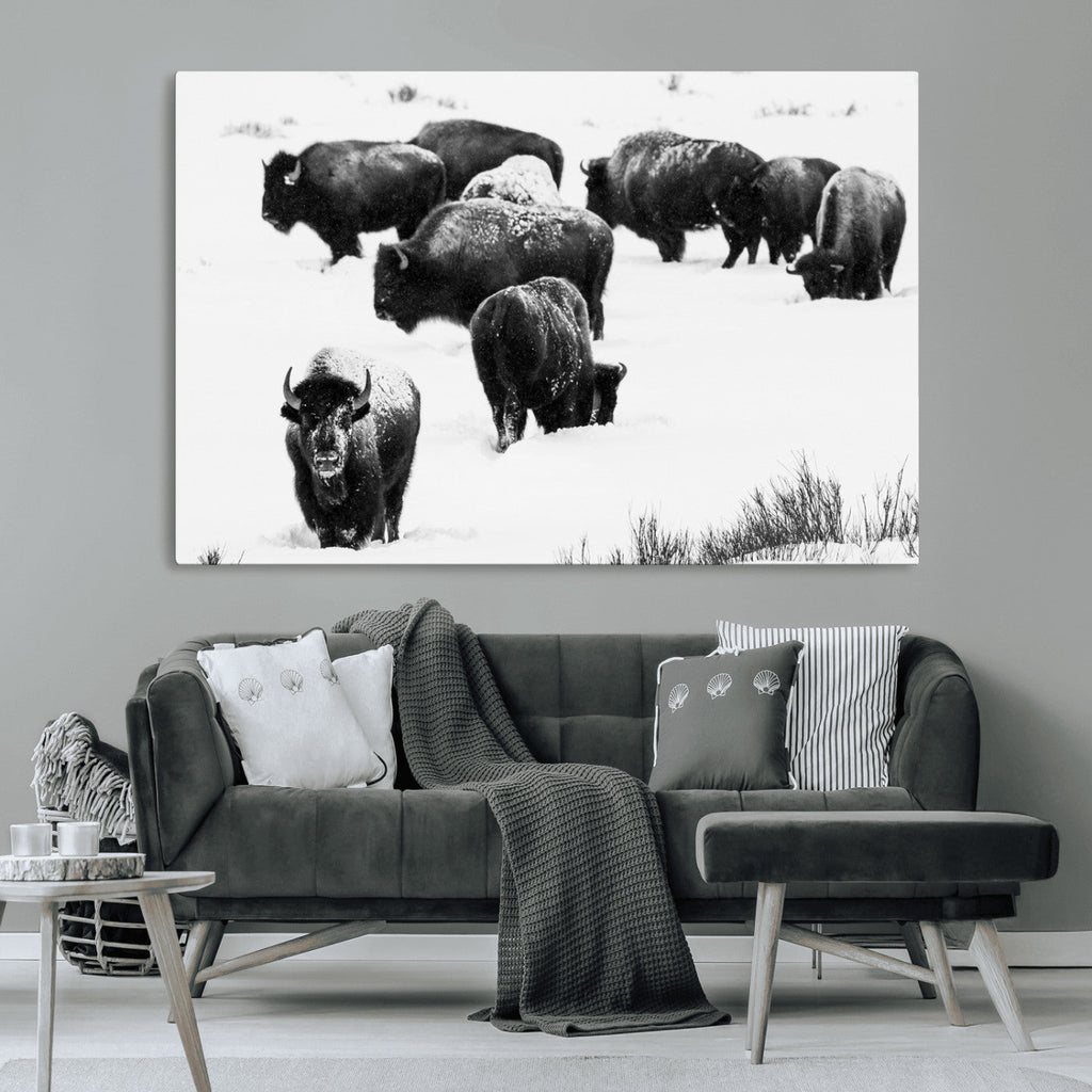 Buffalo Herd Wall Art Canvas Print, Framed Black and White Snowy Landscape
