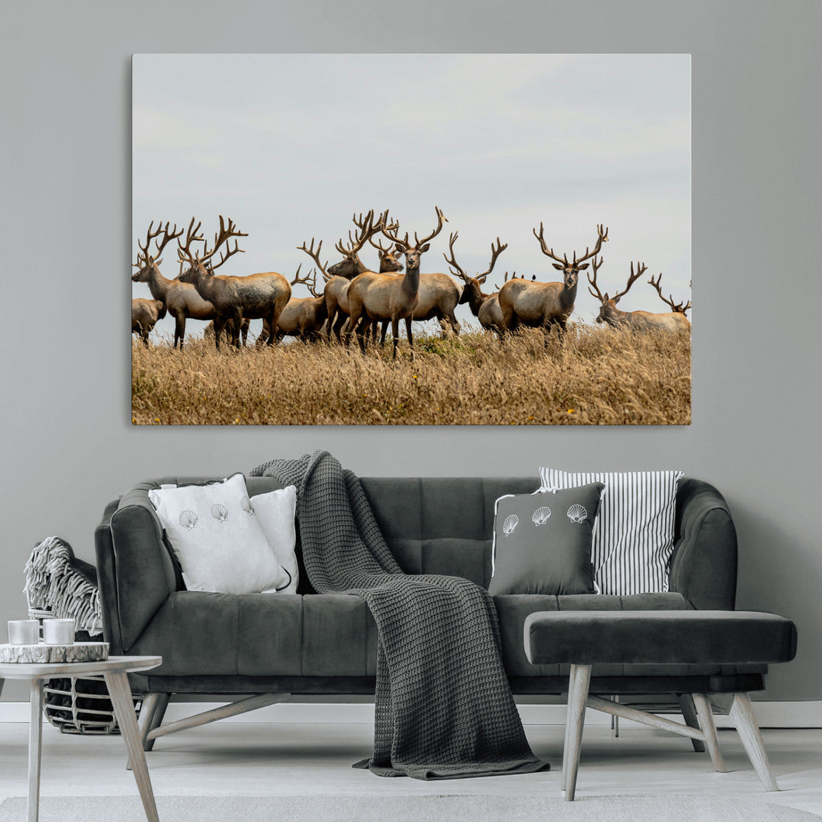 Elk Herd Wall Art Canvas Print, Framed Wildlife Photography Art, Majestic Antlers Rustic Wildlife Decor