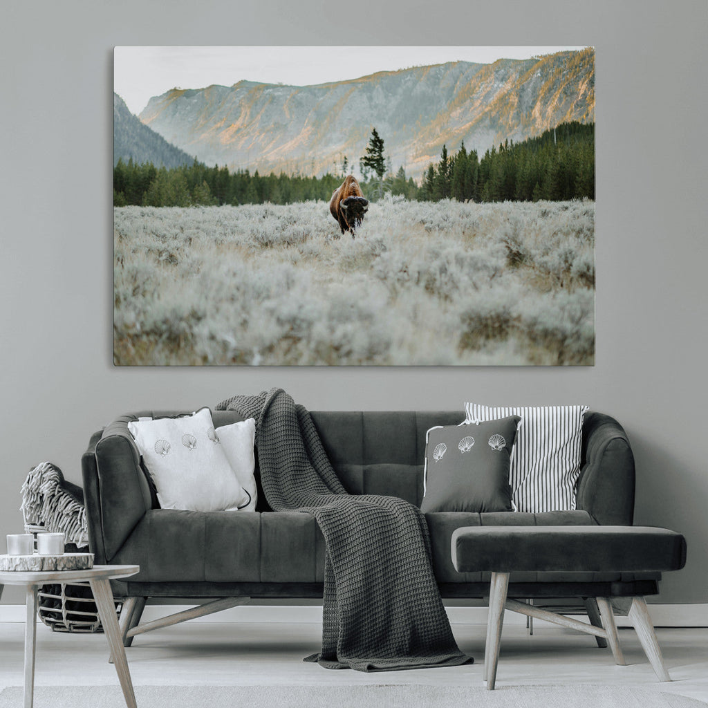 Wild Bison Wall Art Canvas Print, Majestic Mountain Pines and Misty Wilderness