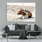 Majestic Longhorn Wall Art Canvas Print, Resting on Sunlit Desert Ground